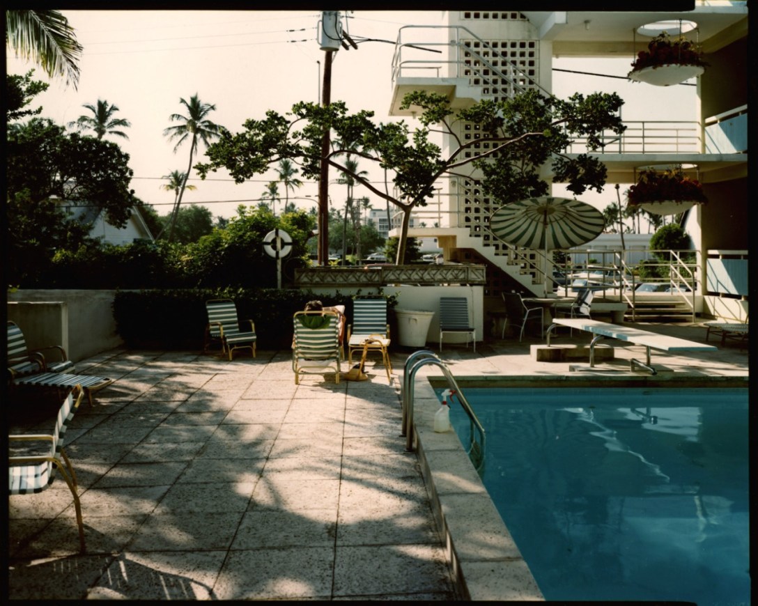 stephenshorepalmtreepool